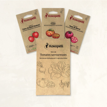 Tomates savoureuses - 3 sachets de graines bio à semer
