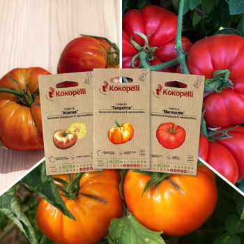 Sachet de graines bio à semer -Tomates pour conserves - 3 sachets de graines bio à semer