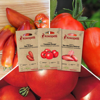 Sachet de graines bio à semer -Tomates pour coulis - 3 sachets de graines bio à semer