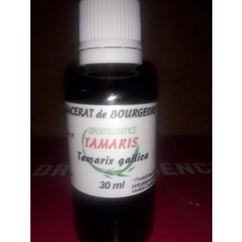 Macérât bio de bourgeons : Tamaris 10 ml DROMESSENCE