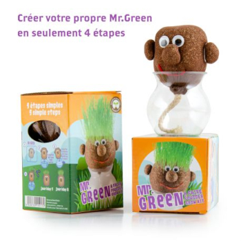 tete-a-pousser-avec-graines-de-gazon-mr-green