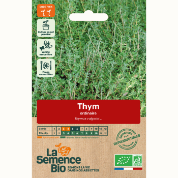semences-bio-reproductibles-thym-commun-bio