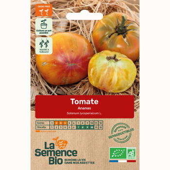 semences-bio-reproductibles-tomate-ananas-bio