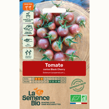 semences-bio-reproductibles-tomate-black-cherry-bio