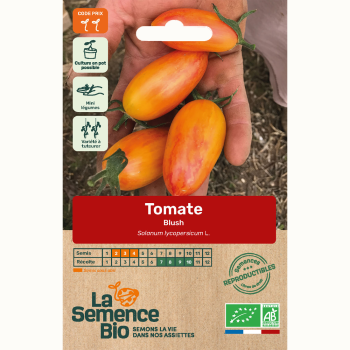 tomate-blush-bio