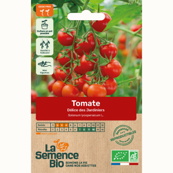 tomate-delice-des-jardiniers-bio