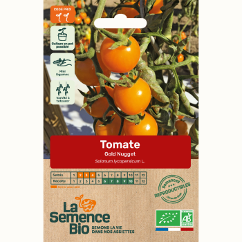 semences-bio-reproductibles-tomate-gold-nugget-bio