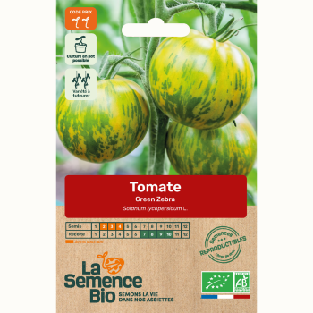 semences-bio-reproductibles-tomate-green-zebra-bio