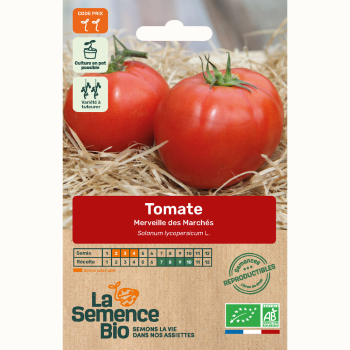 semences-bio-reproductibles-tomate-merveille-des-marches-bio