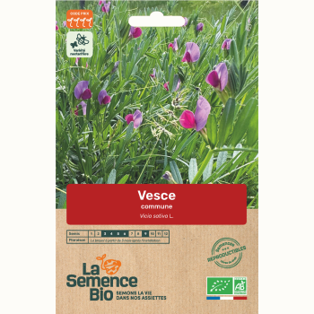 semences-bio-reproductibles-vesce-commune-bio