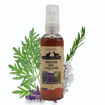 Vinaigredes4voleurs100ml-P1