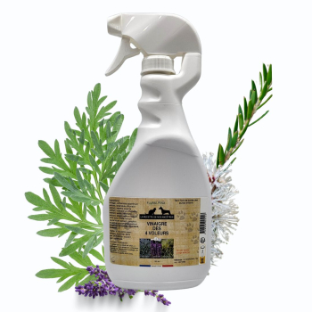 Vinaigredes4voleurs750ml-P1