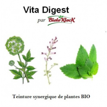 Vita Digest - 100ml