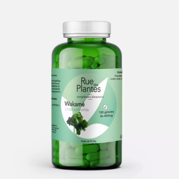 Wakame_-_Rue_Des_Plantes-106800