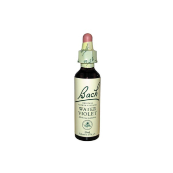 fbo-water-violet