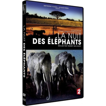 La nuit des éléphants.