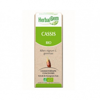 Cassis Bio - 50ml - HerbalGem