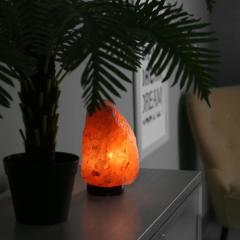 Lampe en cristal de sel d'Himalaya 2 à 3 kg  avec support bois