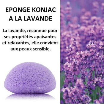 Eponge Konjac visage 100% naturelle lavande vrac zéro emballage
