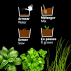Aromates bio Châssis zinc noir 3 pots zinc
