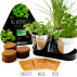 Aromates bio Plateau trio pots en zinc