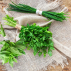 Aromates bio Plateau trio pots en zinc