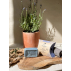 Savon Bio Fleurs de Lavande lait d’ânesse
