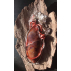 Astrild pendentif energetique  Agate mousse rouge 