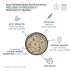 Préparation Bio pour Muffins aux pépites de chocolat - 3 sachets x 280 g 