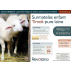 Surmatelas Timok 70x140cm, coton bio, percale 94 fils/cm2, laine 900g/m2