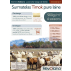 Surmatelas Timok 160x200cm, coton bio, percale 94 fils/cm2, laine 900g/m2