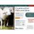 Couette Hajla 100x140cm, coton bio, percale 94 fils/cm2, laine 400g/m2
