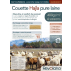 Couette Hajla 200x200cm, coton bio, percale 94 fils/cm2, laine 400g/m2
