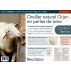 Oreiller Orjen en perles de laine - 60x60cm - Ferme