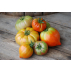 Tomates anciennes bio - 5kg