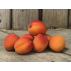 Abricots de saison Bio - 1kg