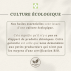 Huile Essentielle de MARJOLAINE - 10 ml