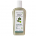 DERMACLAY - Shampoing Bio Capilargil Cheveux Gras 250ml