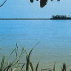 Amazonas*, Contenance: 30 ml