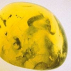 Olivine*, Contenance: 30 ml