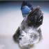 Quartz Fumé*, Contenance: 15 ml