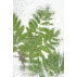 "texture verte" papier peint vinyle 158x250 cm