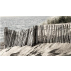 "Paysage de dunes" papier peint vinyle 200X137
