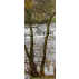 "vue sur le torrent" papier peint vinyle 158x250