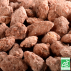 LOUIS & P'TIT JULES - Amandes Caramélisées - Lot de 3 sachets de 180g