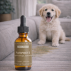 Fleurs de Bach Animaux et Propreté Sans Alcool - 30ML - Lot de 2