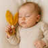 Anneau de Dentition en Coton Bio Honey