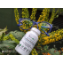 Antiox-Antiage complément alimentaire naturel prévient le vieillissement cellulaire 60 gélules