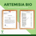 Artémisia Bio - Complément alimentaire - 100% Armoise en Poudre - Fabriqué en France - Vegan - Certifié écocert - 2X60 gélules