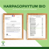  Harpagophytum Bio - Complément alimentaire - Articulation Digestion - Fabriqué en France - Vegan - Certifié par Ecocert - 200 Gélules